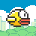 Clumsy bird